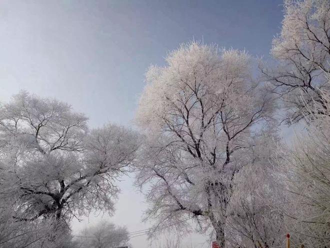 招募|7天3280元 开车去查干湖捕鱼滑冰