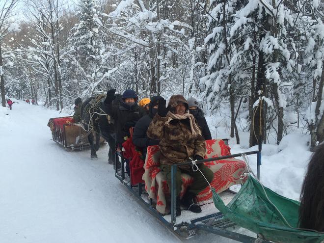 招募|7天3280元 开车去查干湖捕鱼滑冰