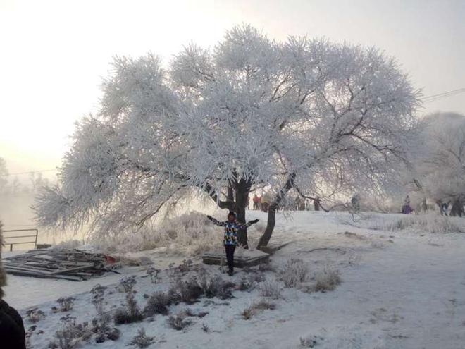 招募|7天3280元 开车去查干湖捕鱼滑冰