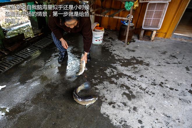 横穿北纬30度 全新汉兰达全域探寻之旅