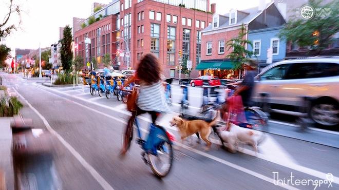 自驾|欢畅购物 去纽约必须吃的美味大龙虾