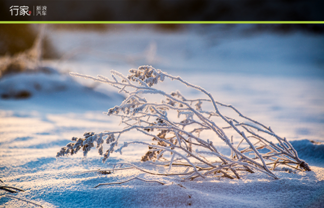 寒潮惊人！泼洒一杯开水瞬间成冰的震撼