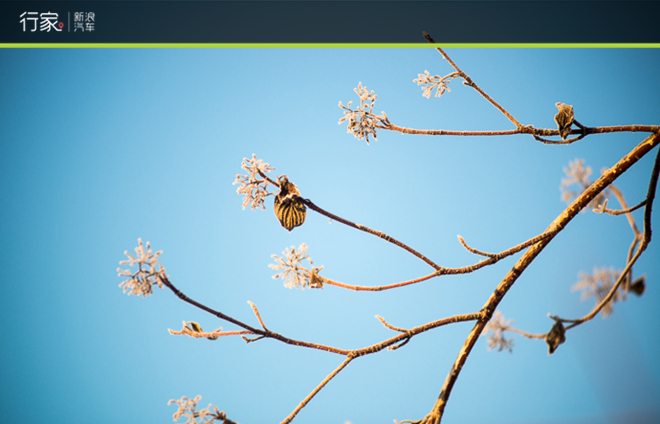 寒潮惊人！泼洒一杯开水瞬间成冰的震撼