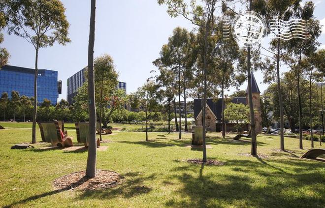 自驾|悉尼暴走10KM 强东奶茶妹缠绵旧地