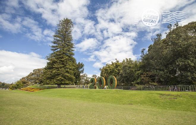 自驾|悉尼暴走10KM 强东奶茶妹缠绵旧地