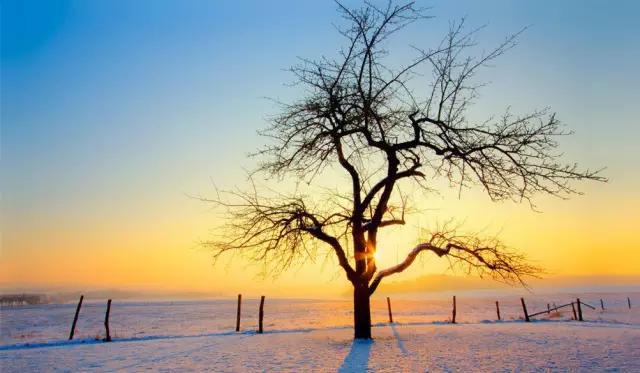 有车和没车的生活差别有多大？