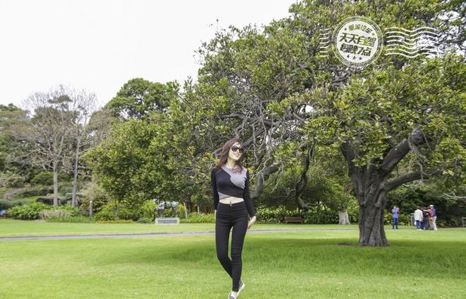 自驾|悉尼暴走10KM 强东奶茶妹缠绵旧地