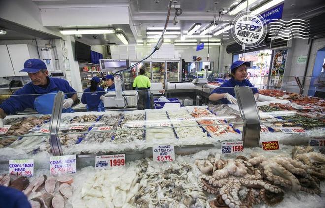 自驾|与媳妇约会 生蚝！生蚝！只要生蚝！