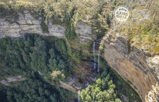 自驾|与媳妇约会 生蚝！生蚝！只要生蚝！