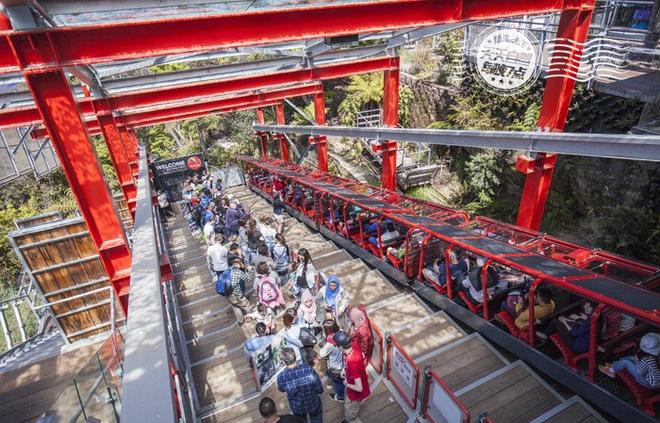 自驾|与媳妇约会 生蚝！生蚝！只要生蚝！