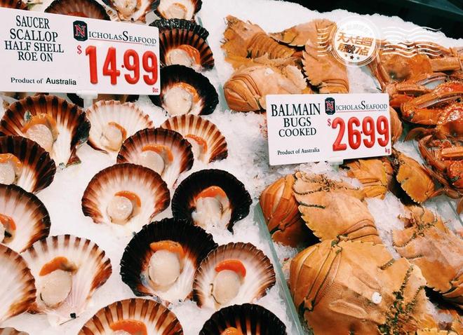 自驾|与媳妇约会 生蚝！生蚝！只要生蚝！