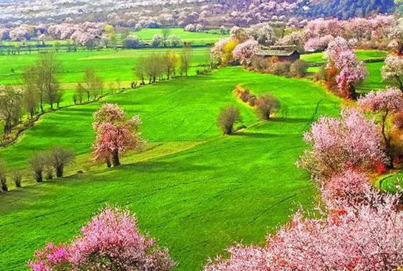 通往西藏的8条圣路 以后必须这样去西藏！