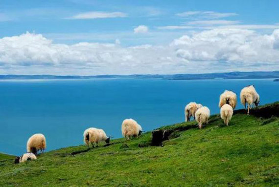 通往西藏的8条圣路 以后必须这样去西藏！