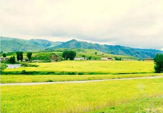 通往西藏的8条圣路 以后必须这样去西藏！