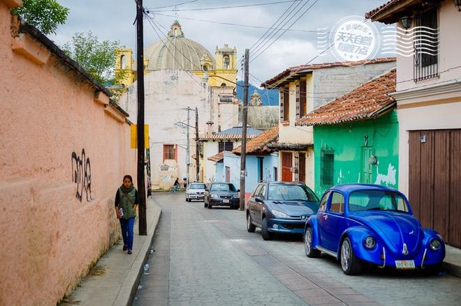 自驾|一座城市滚滚红尘 随处可见专业虐狗