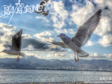 超高颜值女在抚仙湖湿身入水拍高清套图