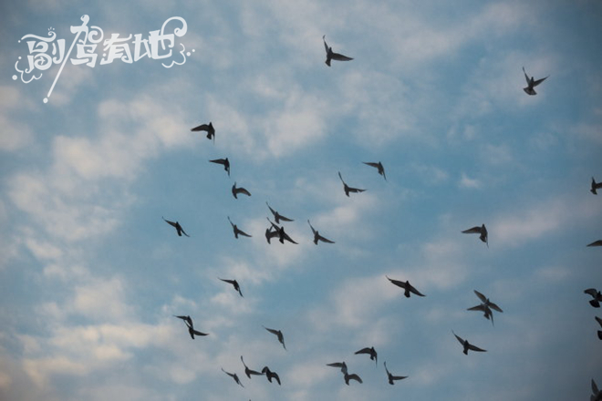 甜美女孩与男闺蜜激情自驾冰雪哈尔滨 