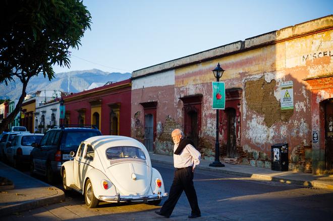 自驾|除了街头甲壳虫 墨西哥人最爱炸昆虫