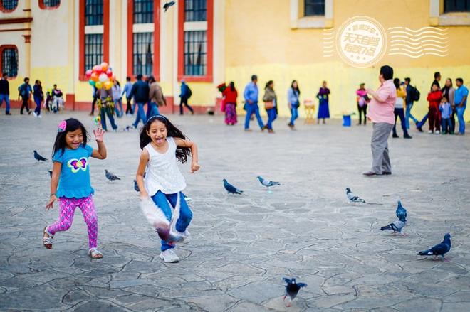 自驾|一座城市滚滚红尘 随处可见专业虐狗