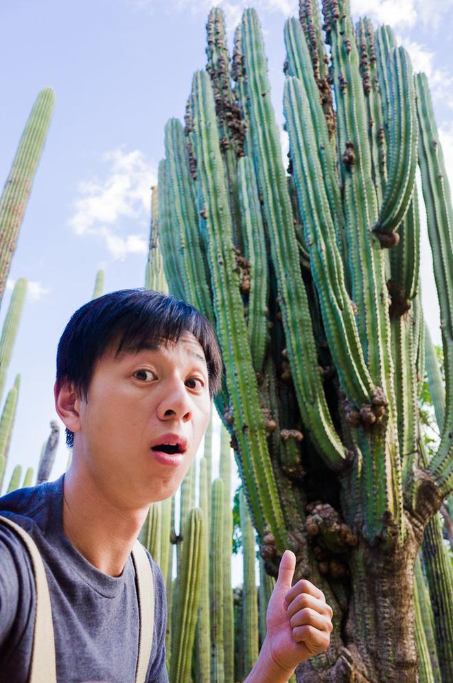 自驾|除了街头甲壳虫 墨西哥人最爱炸昆虫