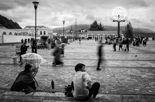 自驾|一座城市滚滚红尘 随处可见专业虐狗