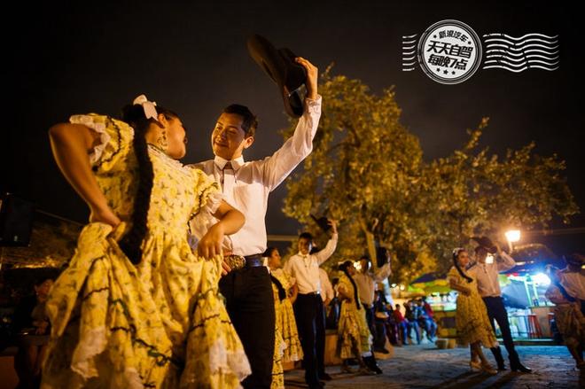 自驾|一座城市滚滚红尘 随处可见专业虐狗