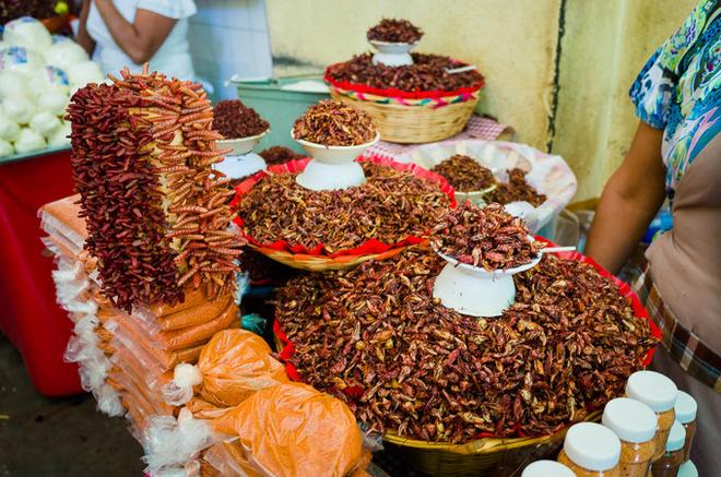 自驾|除了街头甲壳虫 墨西哥人最爱炸昆虫