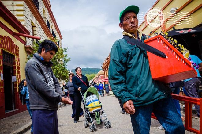 自驾|一座城市滚滚红尘 随处可见专业虐狗
