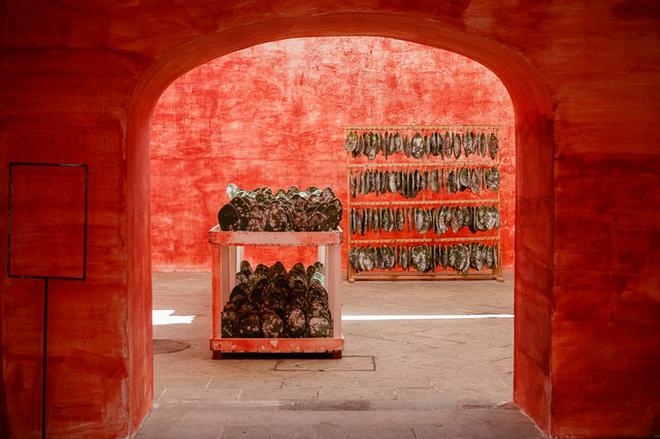 自驾|除了街头甲壳虫 墨西哥人最爱炸昆虫