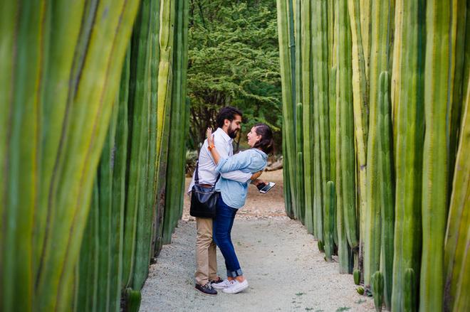 自驾|除了街头甲壳虫 墨西哥人最爱炸昆虫