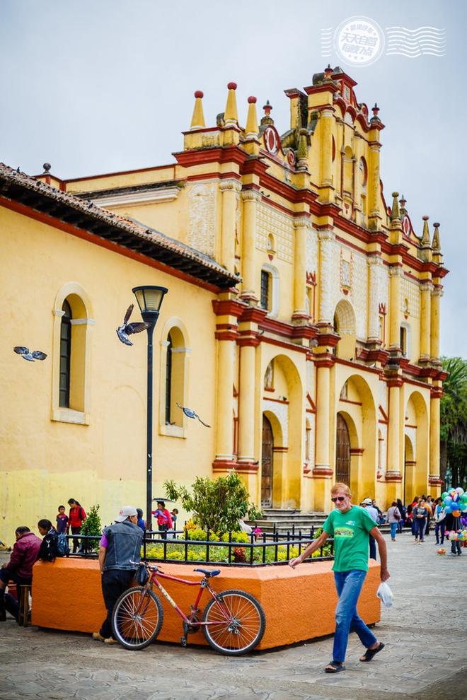 自驾|一座城市滚滚红尘 随处可见专业虐狗