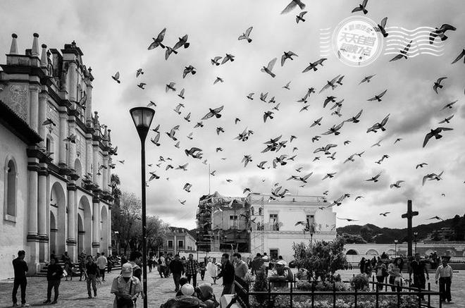 自驾|一座城市滚滚红尘 随处可见专业虐狗