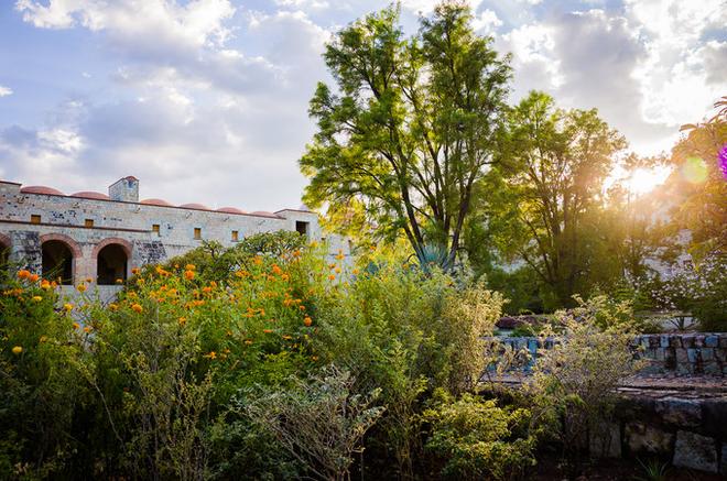 自驾|除了街头甲壳虫 墨西哥人最爱炸昆虫