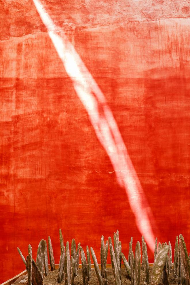 自驾|除了街头甲壳虫 墨西哥人最爱炸昆虫