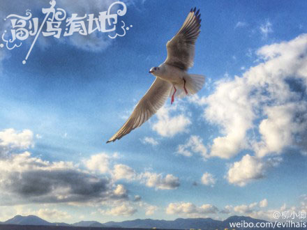 超高颜值女在抚仙湖湿身入水拍高清套图