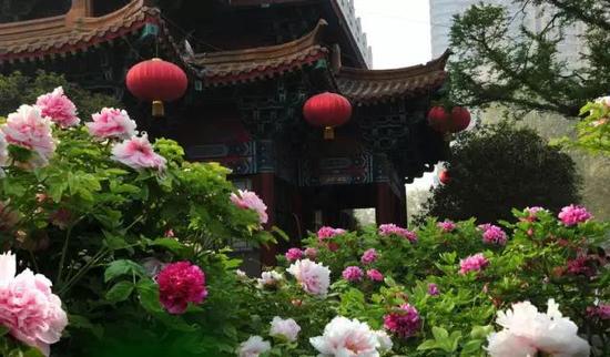 2016最佳旅行时间表 按这个自驾祖国啦！