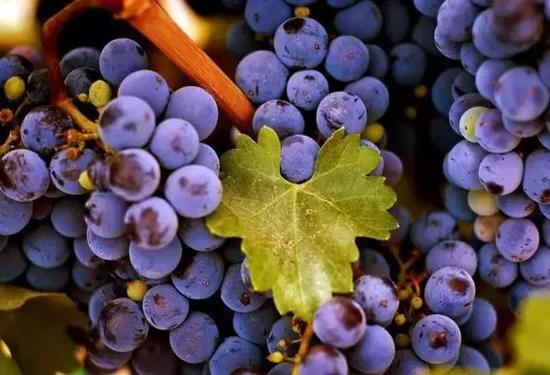 2016最佳旅行时间表 按这个自驾祖国啦！