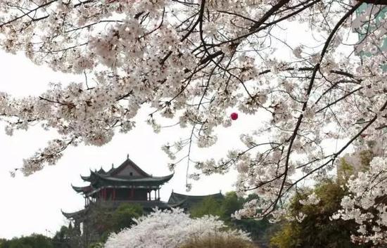 2016最佳旅行时间表 按这个自驾祖国啦！