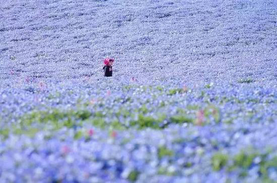 19个不可思议的地方 不自驾亲临怎么行？！