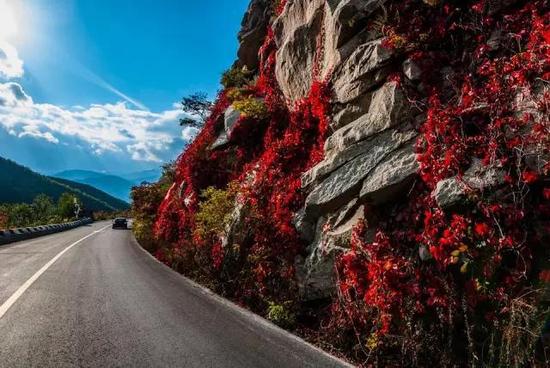 惊人神似！中国109国道VS美国66号公路