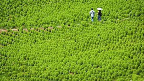 19个不可思议的地方 不自驾亲临怎么行？！