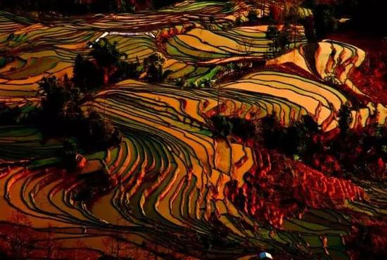 2月份一定要和恋人自驾去云南的这些地方