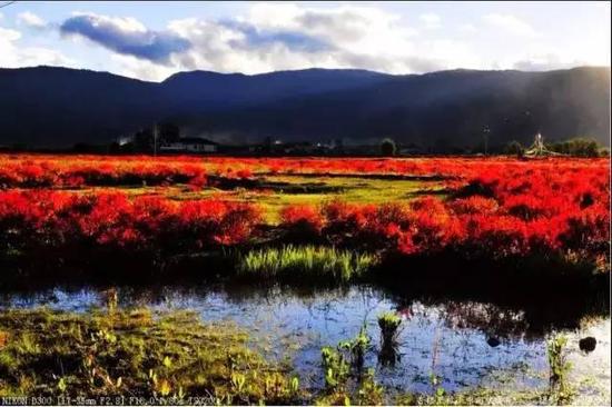 2月份一定要和恋人自驾去云南的这些地方