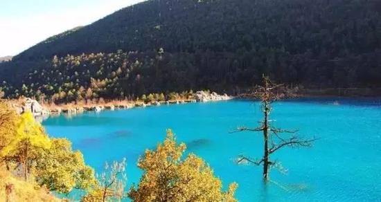 2月份一定要和恋人自驾去云南的这些地方