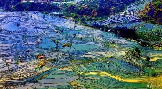 2月份一定要和恋人自驾去云南的这些地方