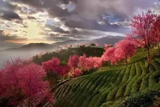 2月份一定要和恋人自驾去云南的这些地方