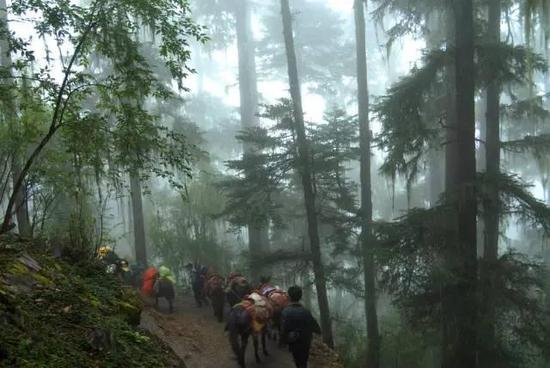 2月份一定要和恋人自驾去云南的这些地方
