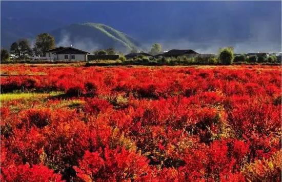 2月份一定要和恋人自驾去云南的这些地方