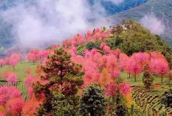 2月份一定要和恋人自驾去云南的这些地方