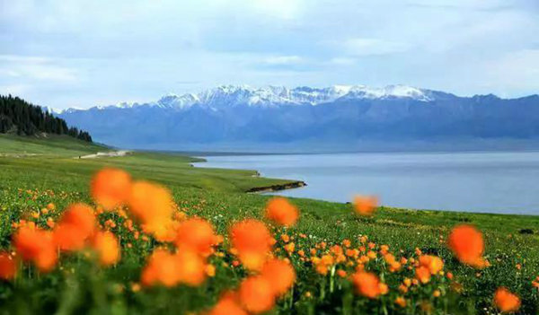 赛果高速，一条美到你心碎的自驾路！